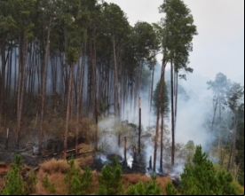 Defesa Civil fará audiência pública para apresentar Plano de Inverno  | Jornal A Voz da Serra