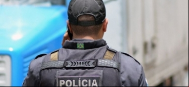 Descoberto o plantio de drogas avaliadas em mais de R$ 50 mil | A Voz da Serra